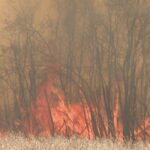 Saskatchewan officials urge caution as dry weather triggers wildfires