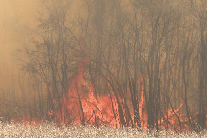 Saskatchewan officials urge caution as dry weather triggers wildfires