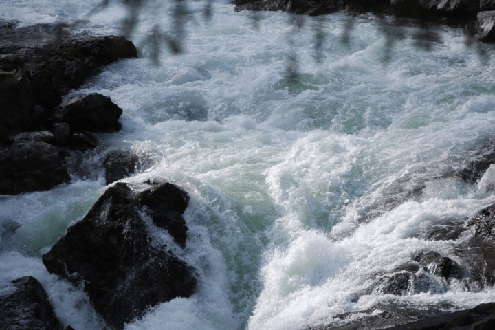 Swimmer still missing after being swept away by river in B.C. park