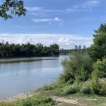 Winnipeg woman saves father and child from drowning: WPS