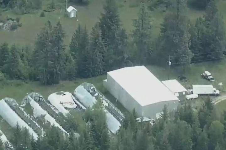 Only 1 person charged after RCMP dismantle Canada’s largest super lab