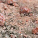 Trump says U.S. to continue buying Canadian potash — but wants cheaper price