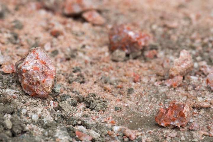 Trump says U.S. to continue buying Canadian potash — but wants cheaper price