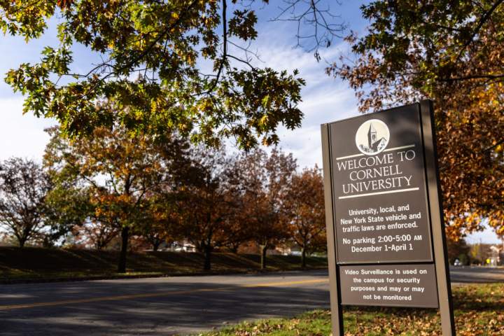 U.S. prosecutor reopens Cornell gang rape probe after accuser files lawsuit