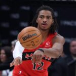 Raptors exercise options on Murray-Boyles, Walter